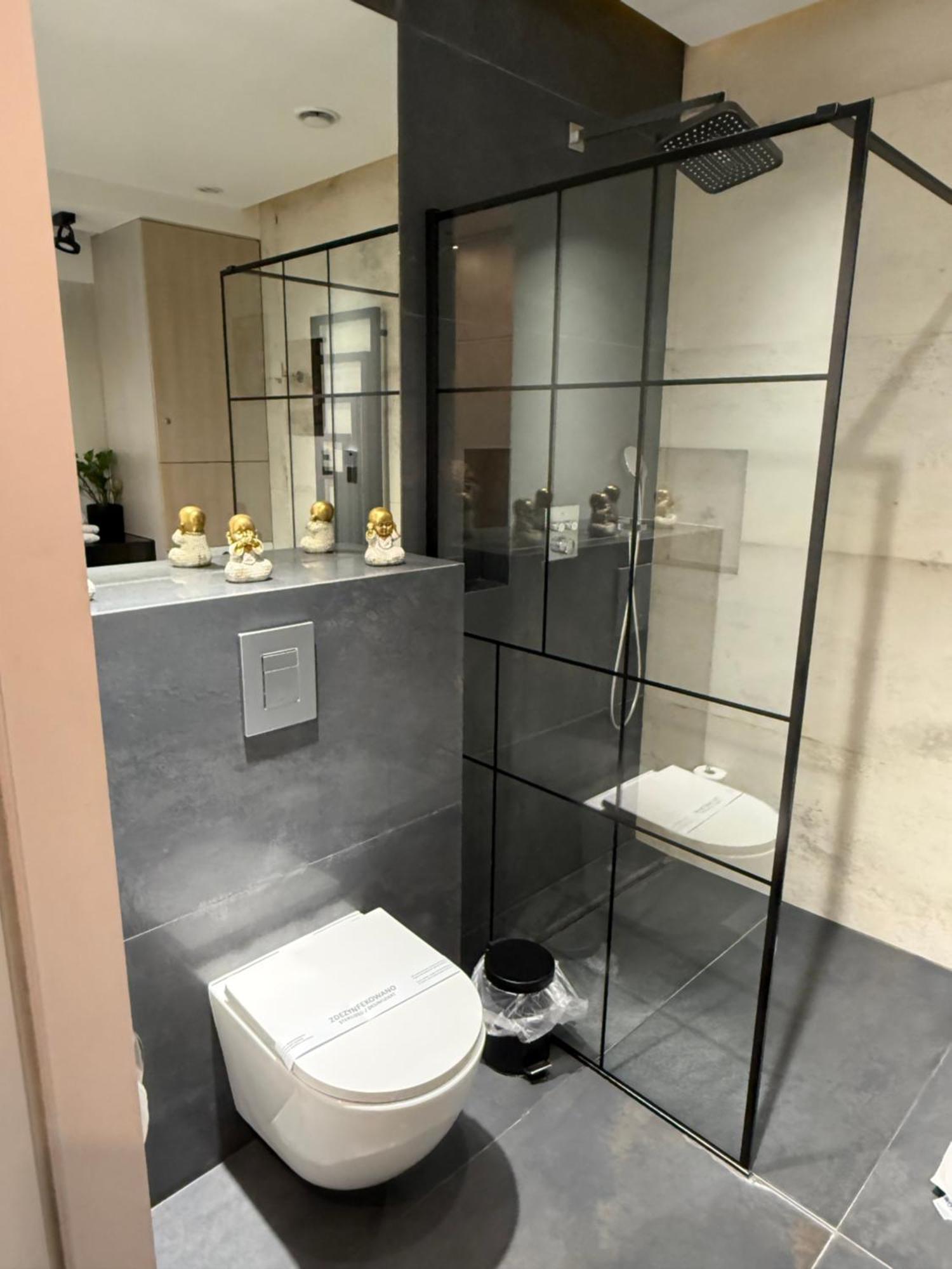 Apartament Aleja Wolnosci Новий Сонч Екстер'єр фото